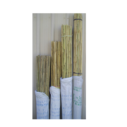 Bamboo Stake Natural 6' x 3/4